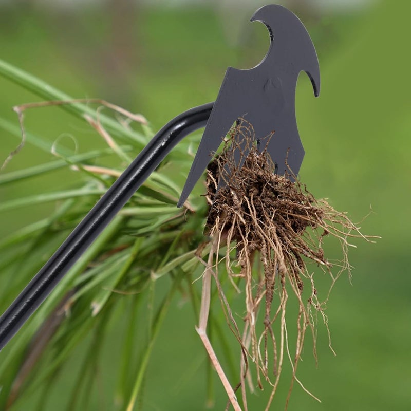 Young4us Garden Weed Pulling Tool Uprooting Weeding Tool, 4 Teeth Weed Puller Tool Manganese Steel Garden Weeder Tool for Vegetable Gardening Planting (Black, 2 Pack, 16 inches) - Image 3